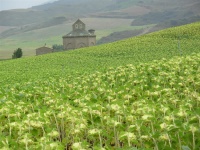 Santiago de Compostela